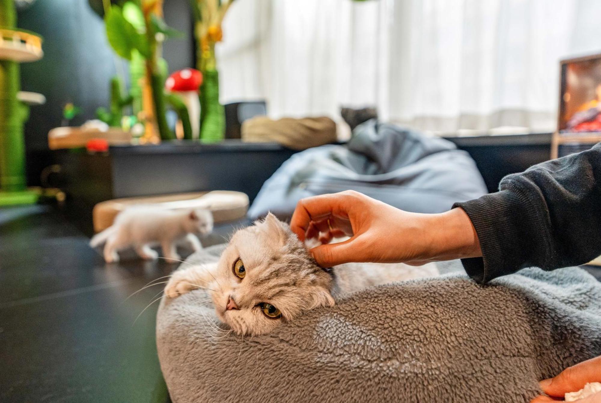 Hesu Designer Hotel & Suites -Near Xi'An Drum Tower And Yongning Gate -Free Laundry Luggage Storage -Kitty Cafe With Freshly Ground Coffee -24H Front Desk -English Service -Exclusive Subsidies For Dumpling Banquet & Show Εξωτερικό φωτογραφία