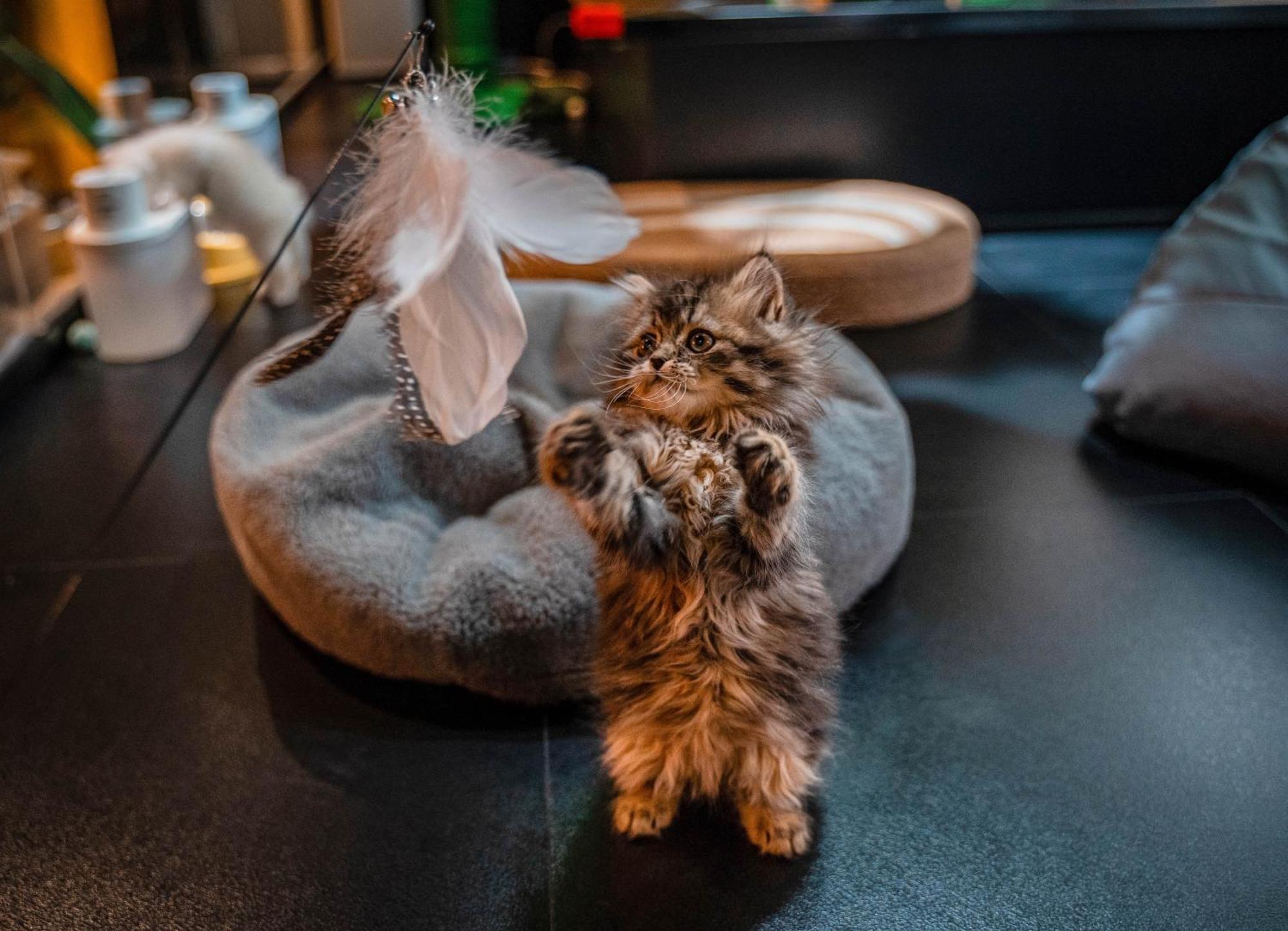 Hesu Designer Hotel & Suites -Near Xi'An Drum Tower And Yongning Gate -Free Laundry Luggage Storage -Kitty Cafe With Freshly Ground Coffee -24H Front Desk -English Service Εξωτερικό φωτογραφία