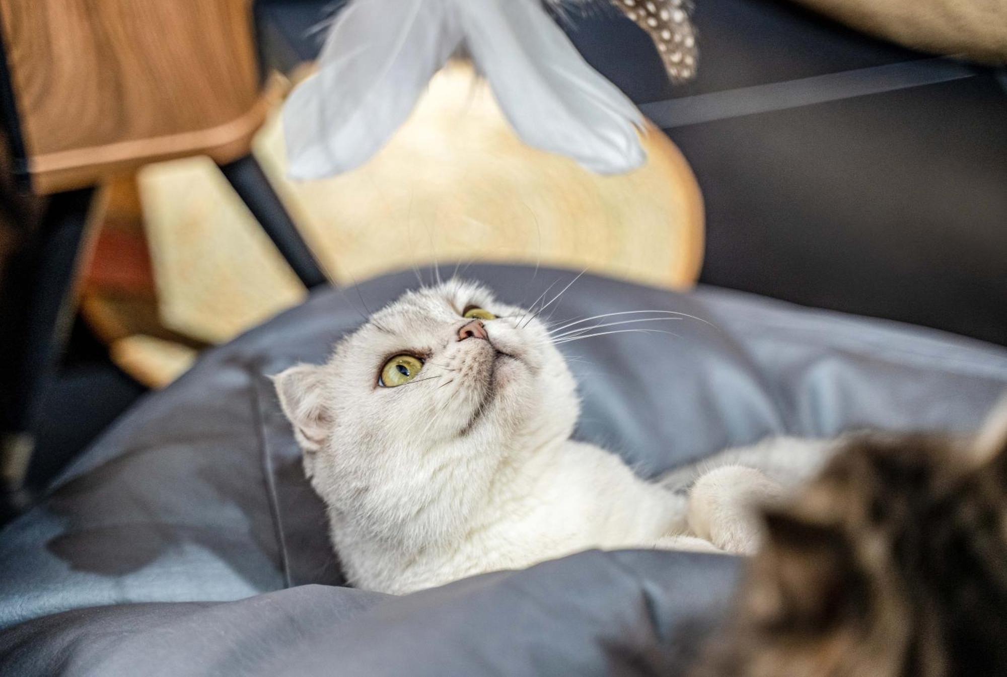 Hesu Designer Hotel & Suites -Near Xi'An Drum Tower And Yongning Gate -Free Laundry Luggage Storage -Kitty Cafe With Freshly Ground Coffee -24H Front Desk -English Service Εξωτερικό φωτογραφία